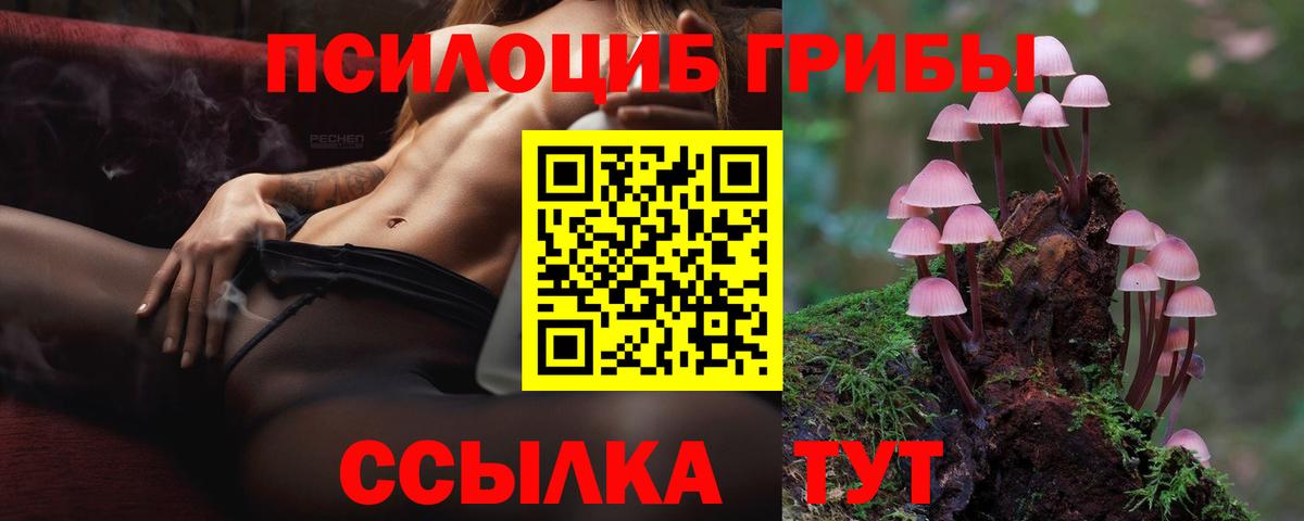 Галлюциногенные грибы Psilocybe  Псилоцибиновые грибы GOLDEN TEACHER  Вход с VPN  Узловая 